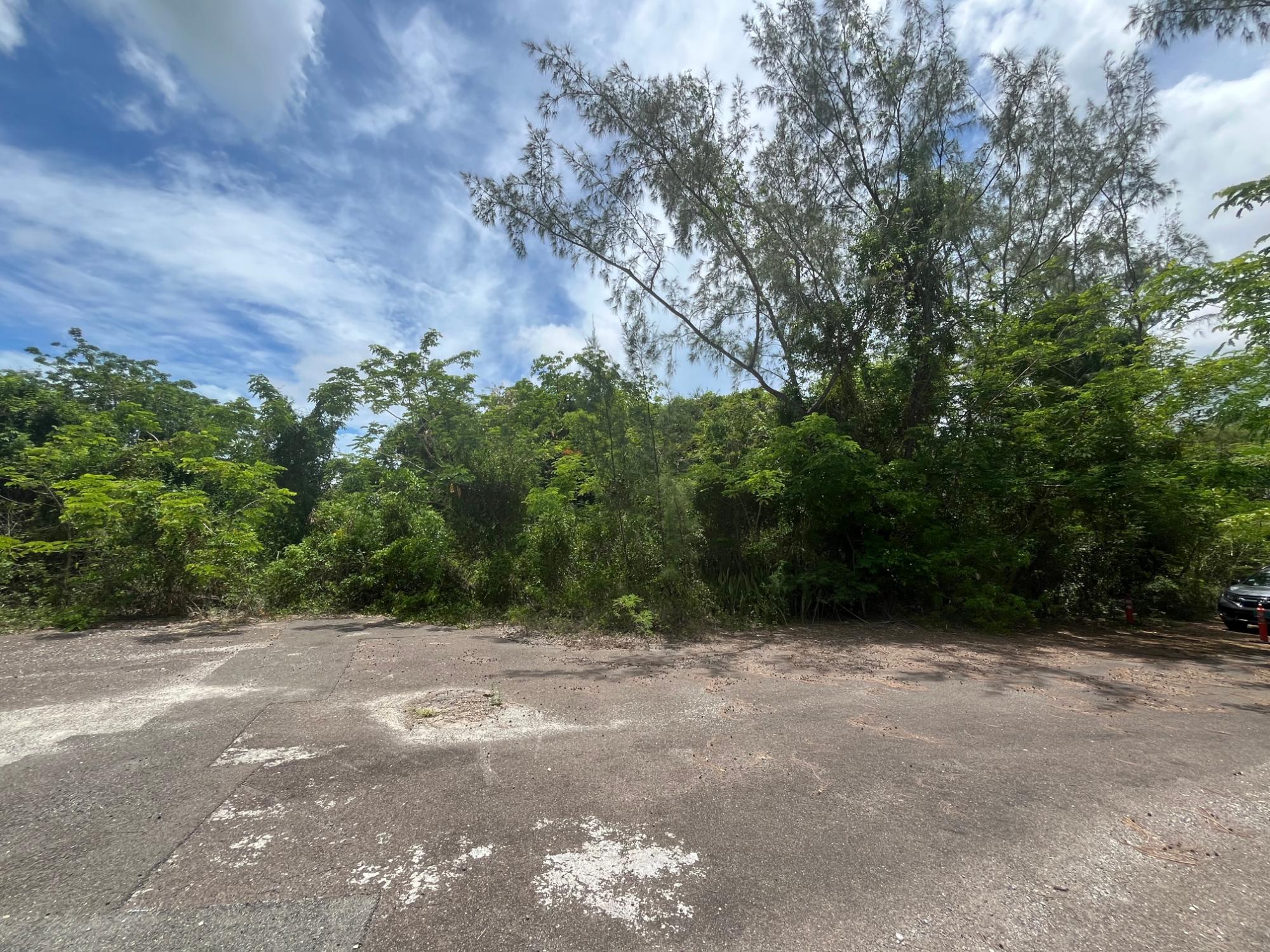 /listing-lots-acreage-in-eastern-road-73013.html from Coldwell Banker Bahamas Real Estate