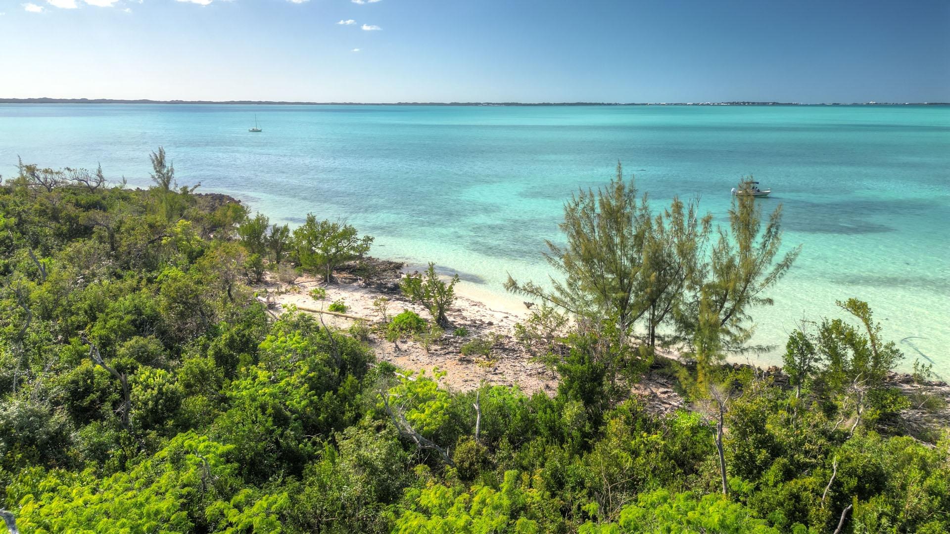 /listing-lots-acreage-in-lubbers-quarters-73020.html from Coldwell Banker Bahamas Real Estate