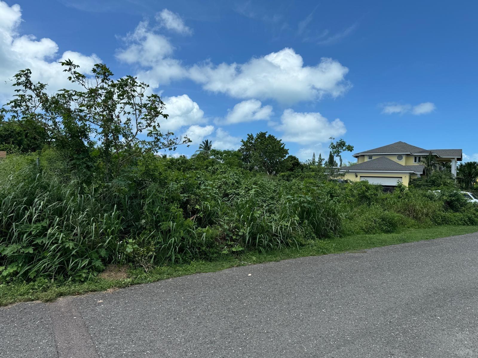 /listing-lots-acreage-in-winton-76704.html from Coldwell Banker Bahamas Real Estate