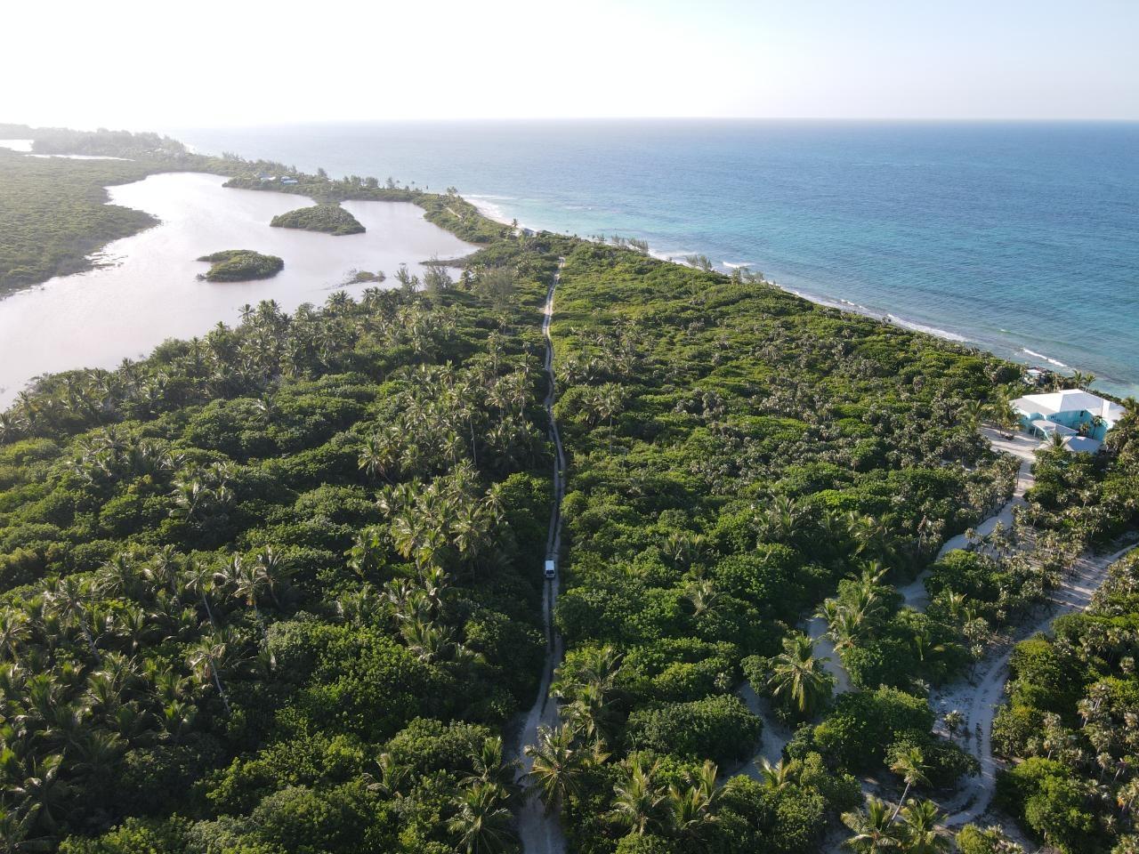 /listing-lots-acreage-in-double-bay-72580.html from Coldwell Banker Bahamas Real Estate