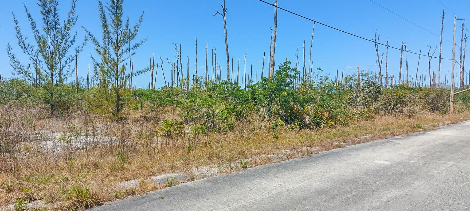 /listing-lots-acreage-in-devonshire-72295.html from Coldwell Banker Bahamas Real Estate