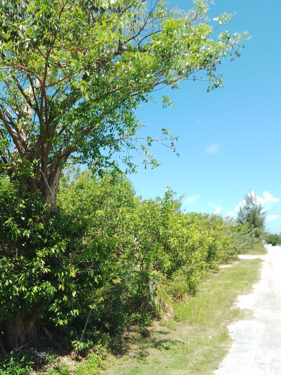 /listing-lots-acreage-in-marsh-harbour-72373.html from Coldwell Banker Bahamas Real Estate