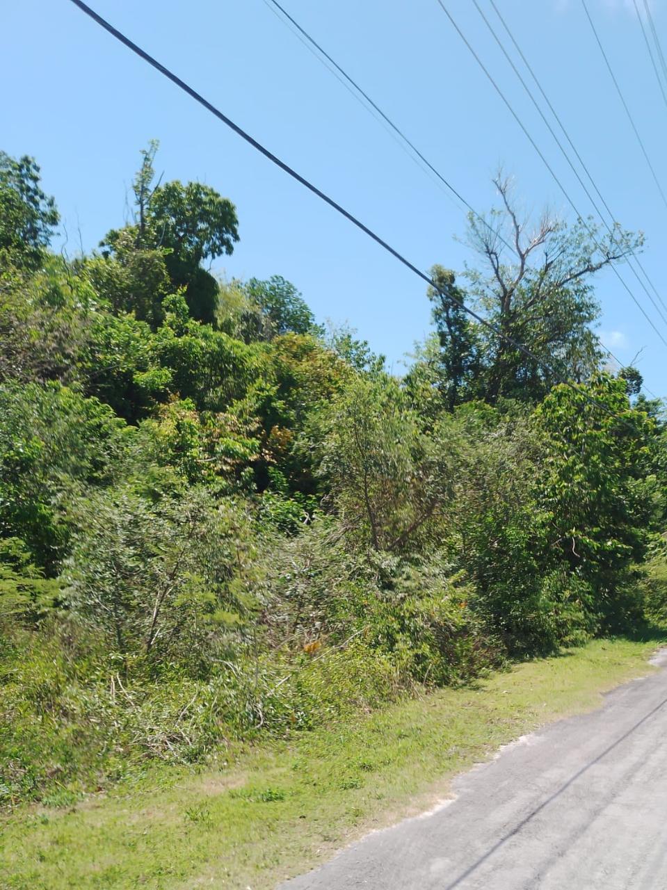/listing-lots-acreage-in-marsh-harbour-72376.html from Coldwell Banker Bahamas Real Estate