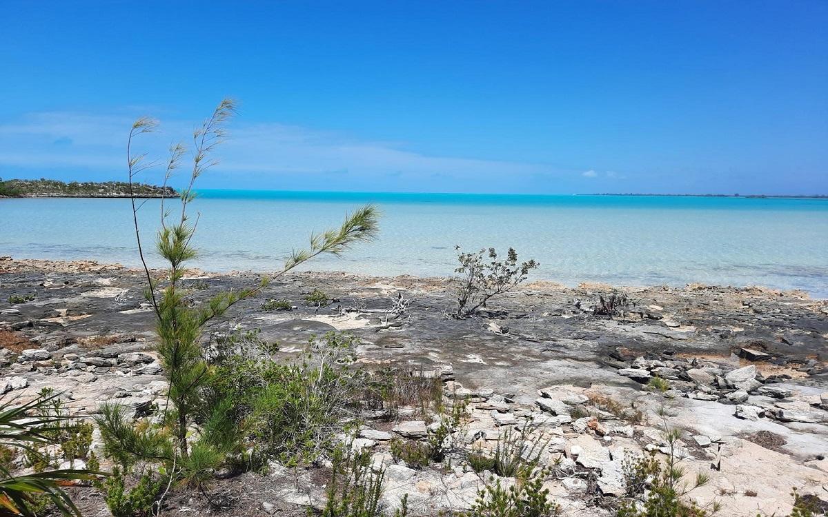 /listing-lots-acreage-in-bunches-71172.html from Coldwell Banker Bahamas Real Estate
