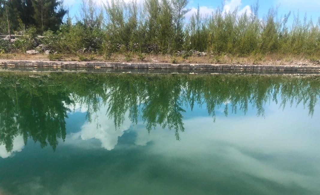 /listing-lots-acreage-in-lincoln-green-71225.html from Coldwell Banker Bahamas Real Estate