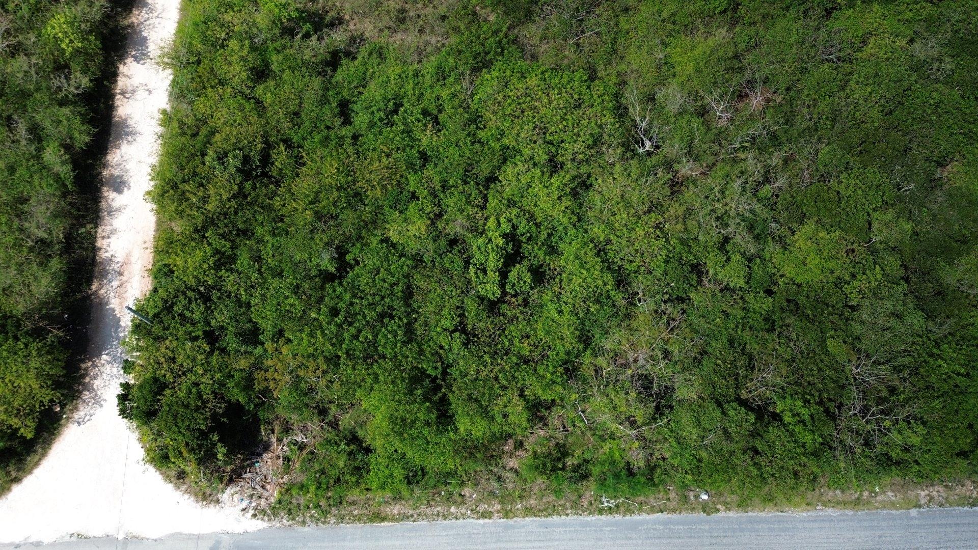 /listing-lots-acreage-in-gregory-town-72449.html from Coldwell Banker Bahamas Real Estate