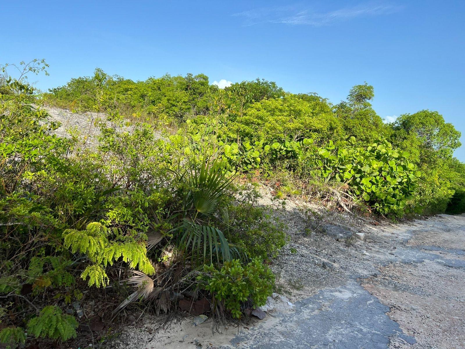 /listing-lots-acreage-in-bahama-sound-72424.html from Coldwell Banker Bahamas Real Estate