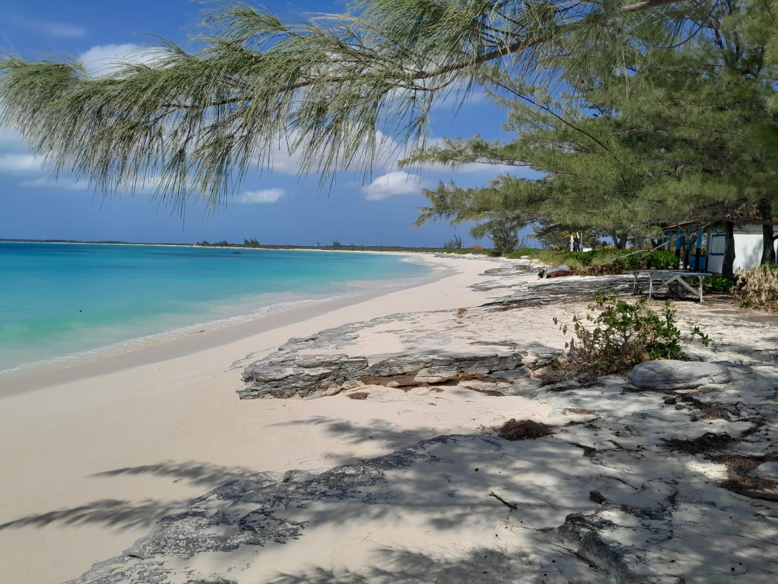 /listing-lots-acreage-in-james-cistern-71473.html from Coldwell Banker Bahamas Real Estate