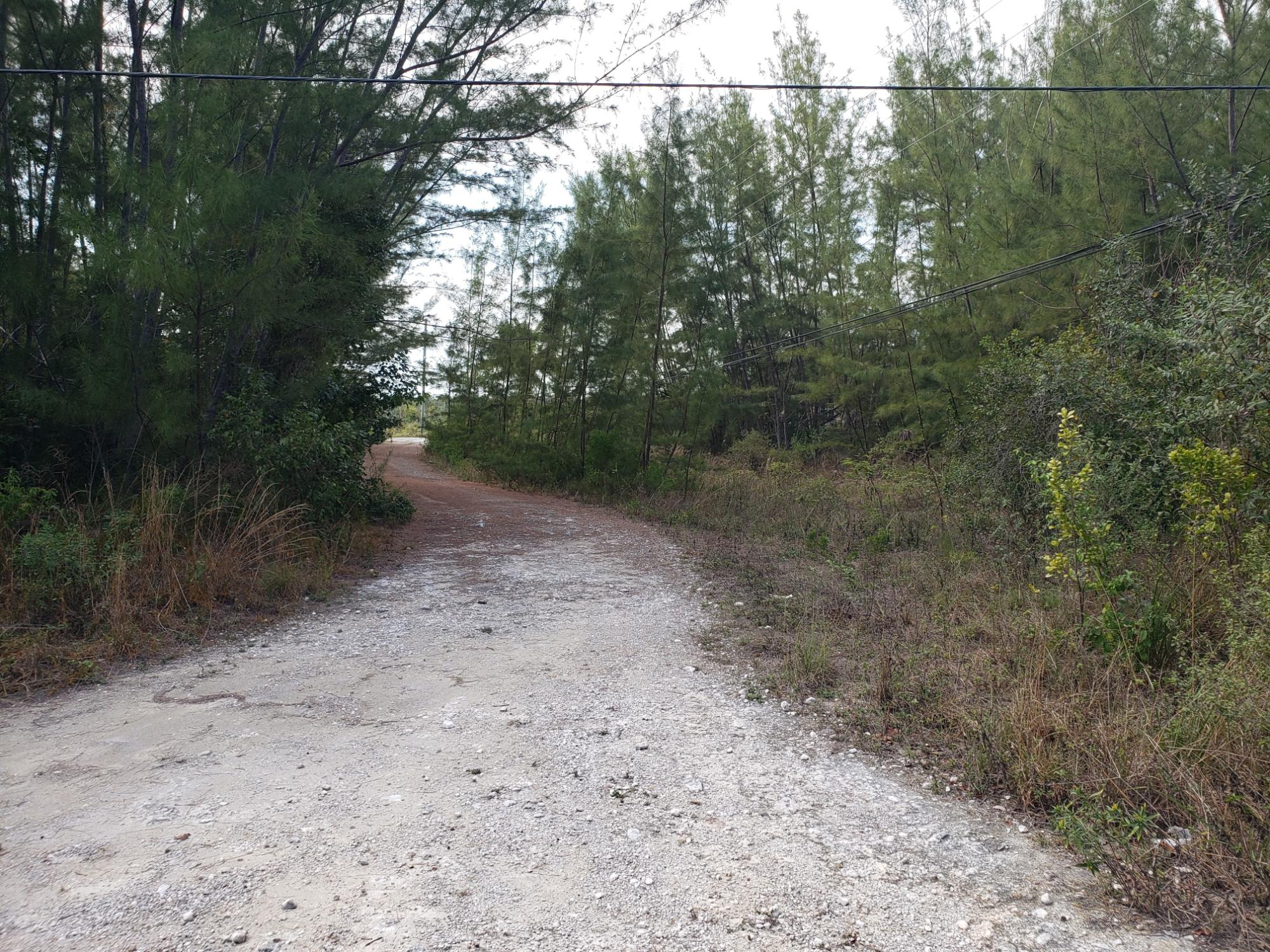 /listing-lots-acreage-in-casuarina-point-71468.html from Coldwell Banker Bahamas Real Estate