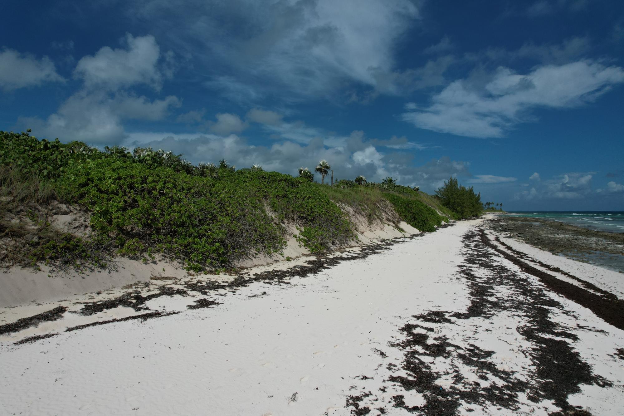 /listing-lots-acreage-in-double-bay-71504.html from Coldwell Banker Bahamas Real Estate