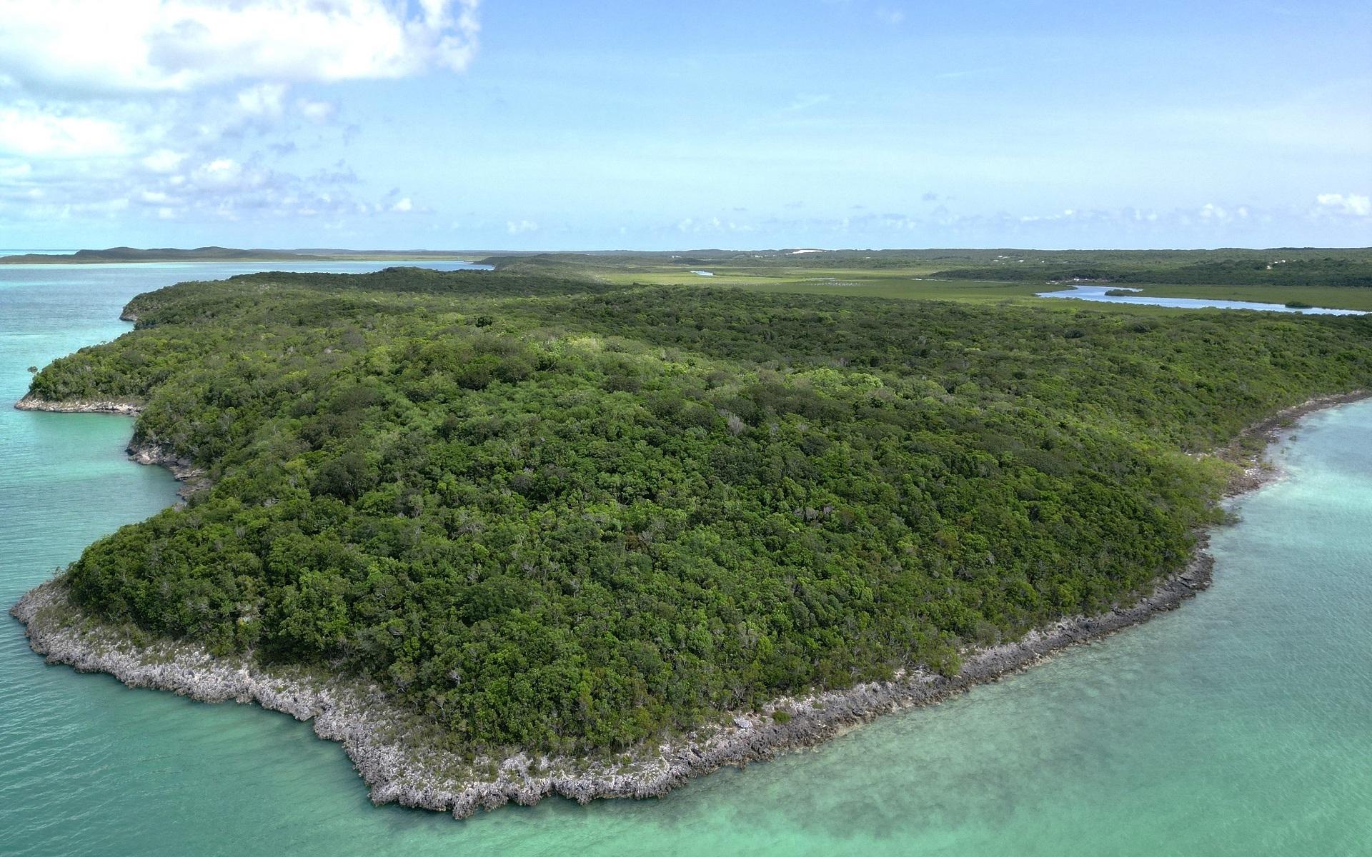 /listing-lots-acreage-in-hoopers-bay-71362.html from Coldwell Banker Bahamas Real Estate