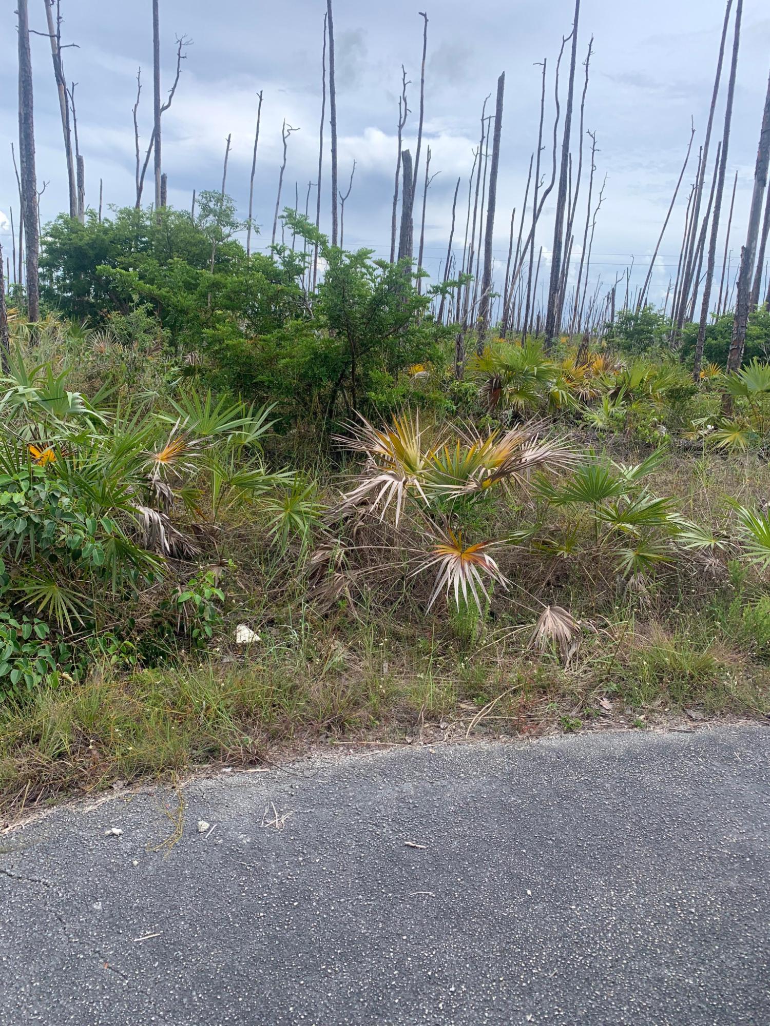 /listing-lots-acreage-in-windermere-71335.html from Coldwell Banker Bahamas Real Estate