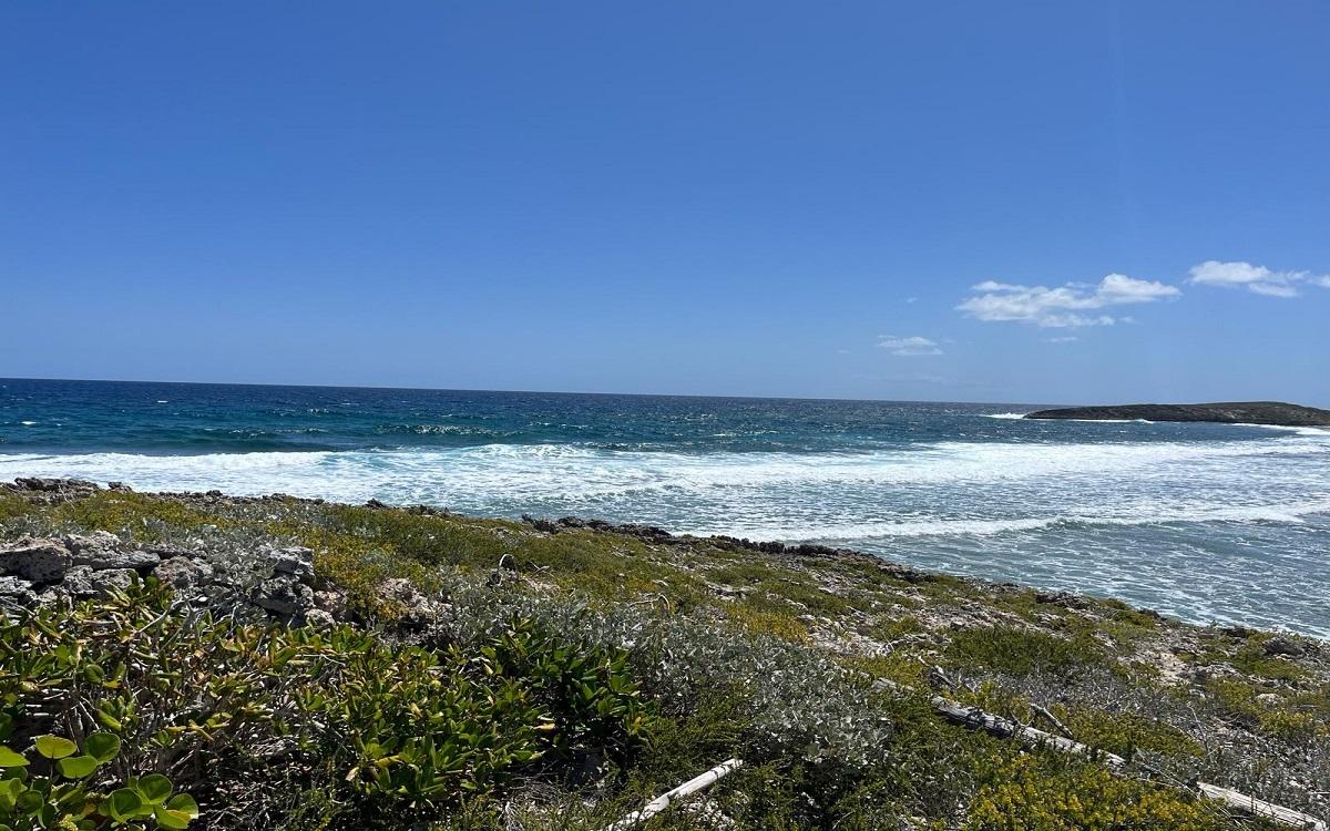 /listing-lots-acreage-in-taits-72123.html from Coldwell Banker Bahamas Real Estate