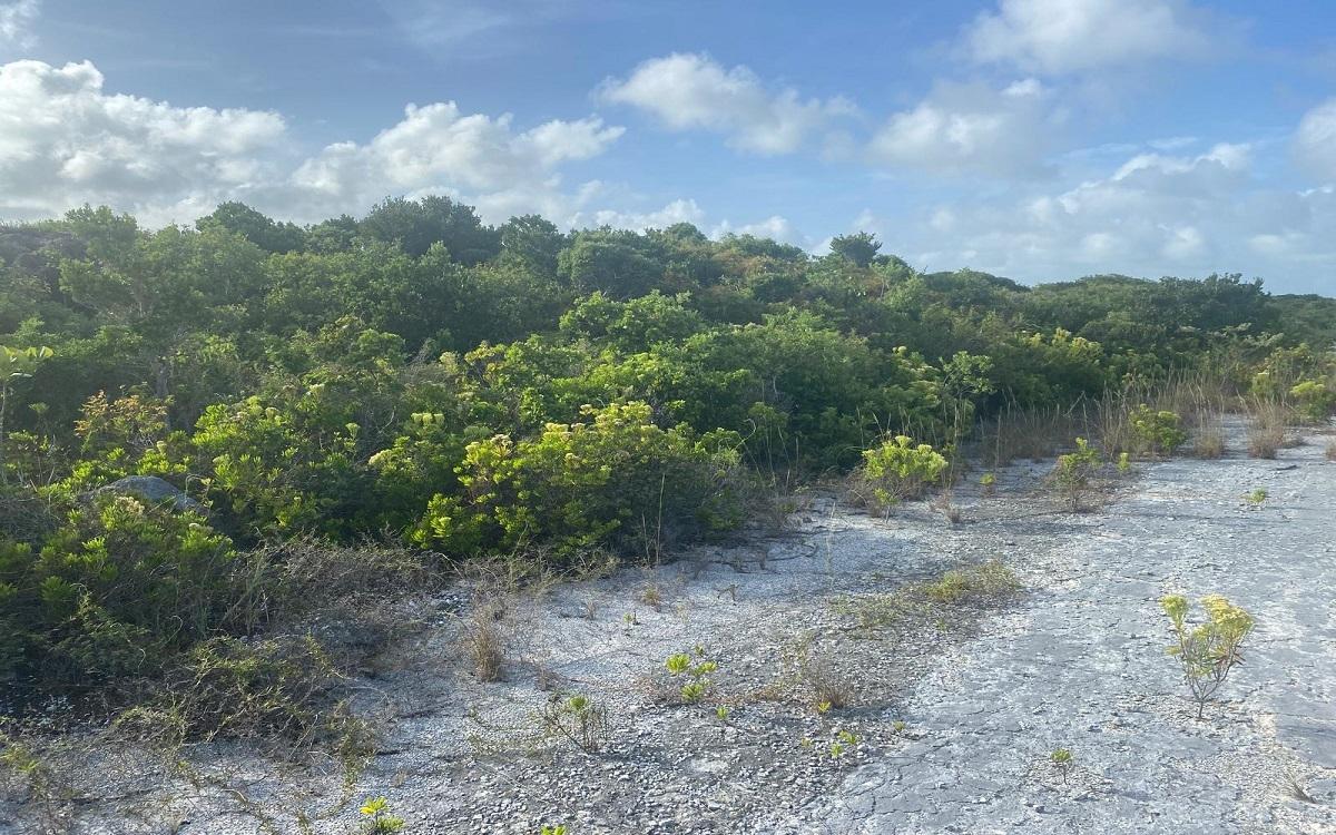/listing-lots-acreage-in-columbus-landings-72218.html from Coldwell Banker Bahamas Real Estate