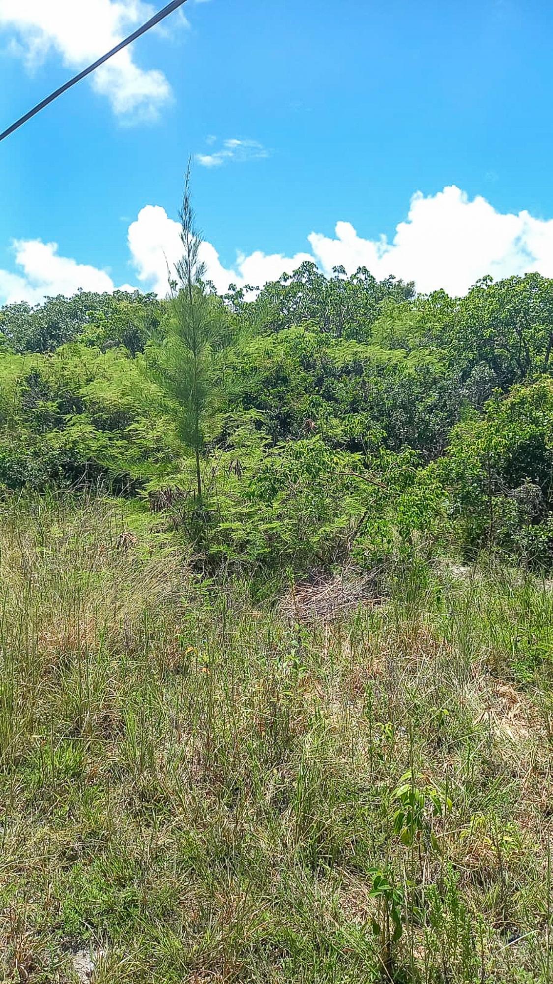 /listing-lots-acreage-in-congo-town-72148.html from Coldwell Banker Bahamas Real Estate