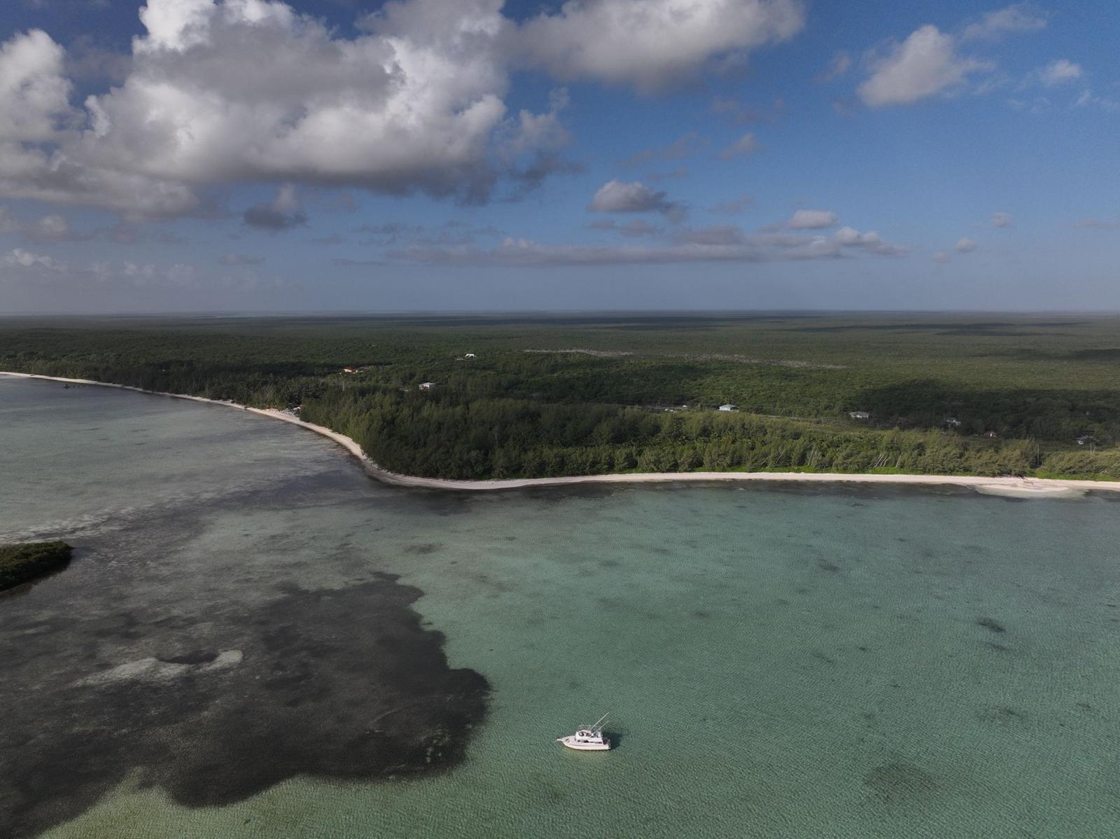 /listing-lots-acreage-in-mangrove-cay-72875.html from Coldwell Banker Bahamas Real Estate
