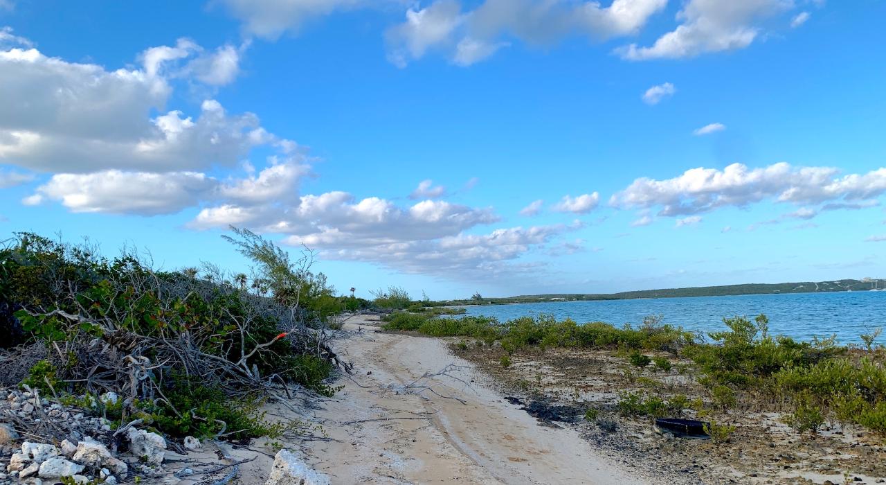 /listing-lots-acreage-in-salt-pond-72863.html from Coldwell Banker Bahamas Real Estate