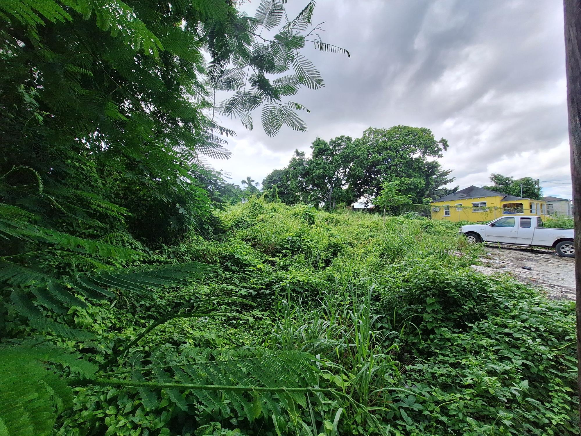 /listing-lots-acreage-in-other-new-providence-nassau-72932.html from Coldwell Banker Bahamas Real Estate