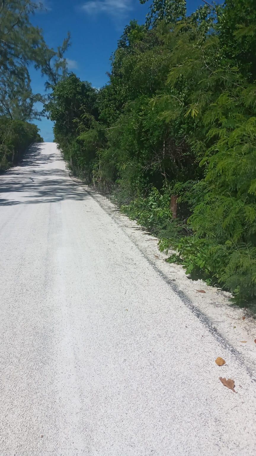 /listing-lots-acreage-in-stella-maris-73536.html from Coldwell Banker Bahamas Real Estate