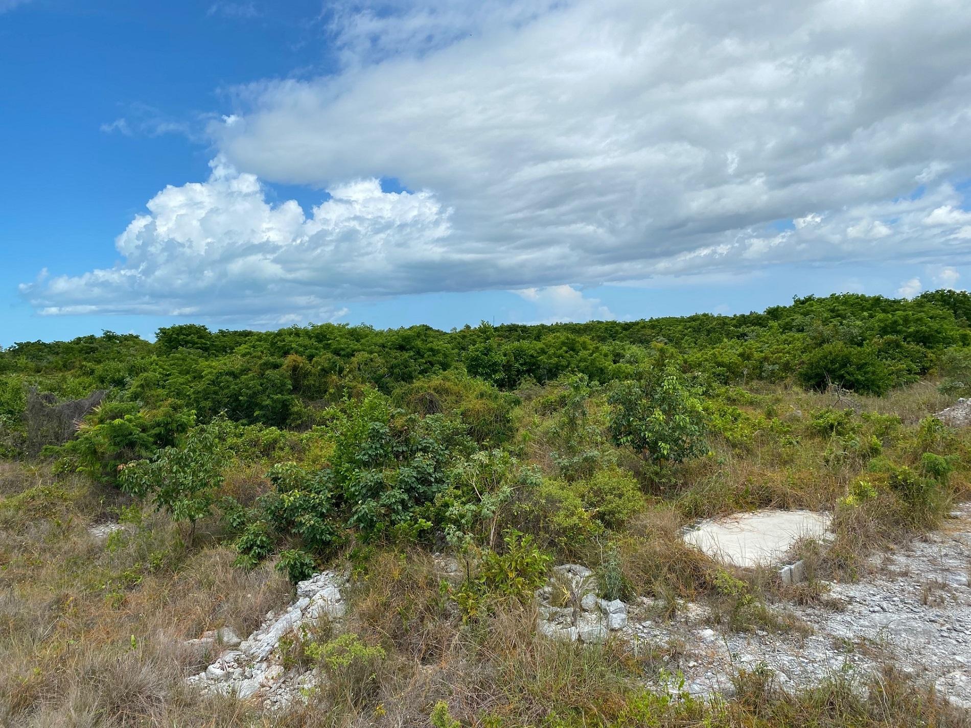 /listing-lots-acreage-in-grand-bahama-east-74791.html from Coldwell Banker Bahamas Real Estate