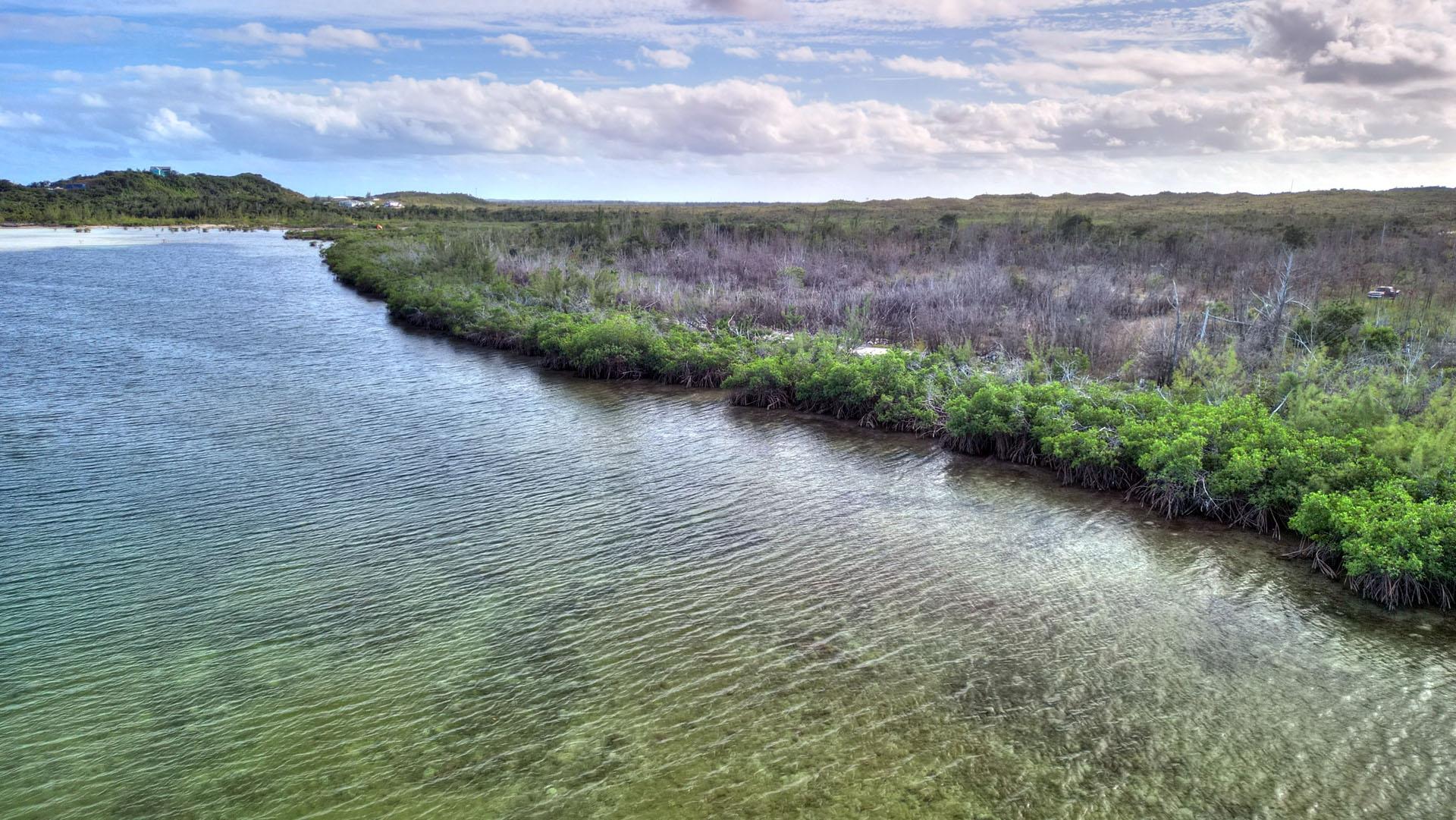 /listing-lots-acreage-in-marsh-harbour-74671.html from Coldwell Banker Bahamas Real Estate
