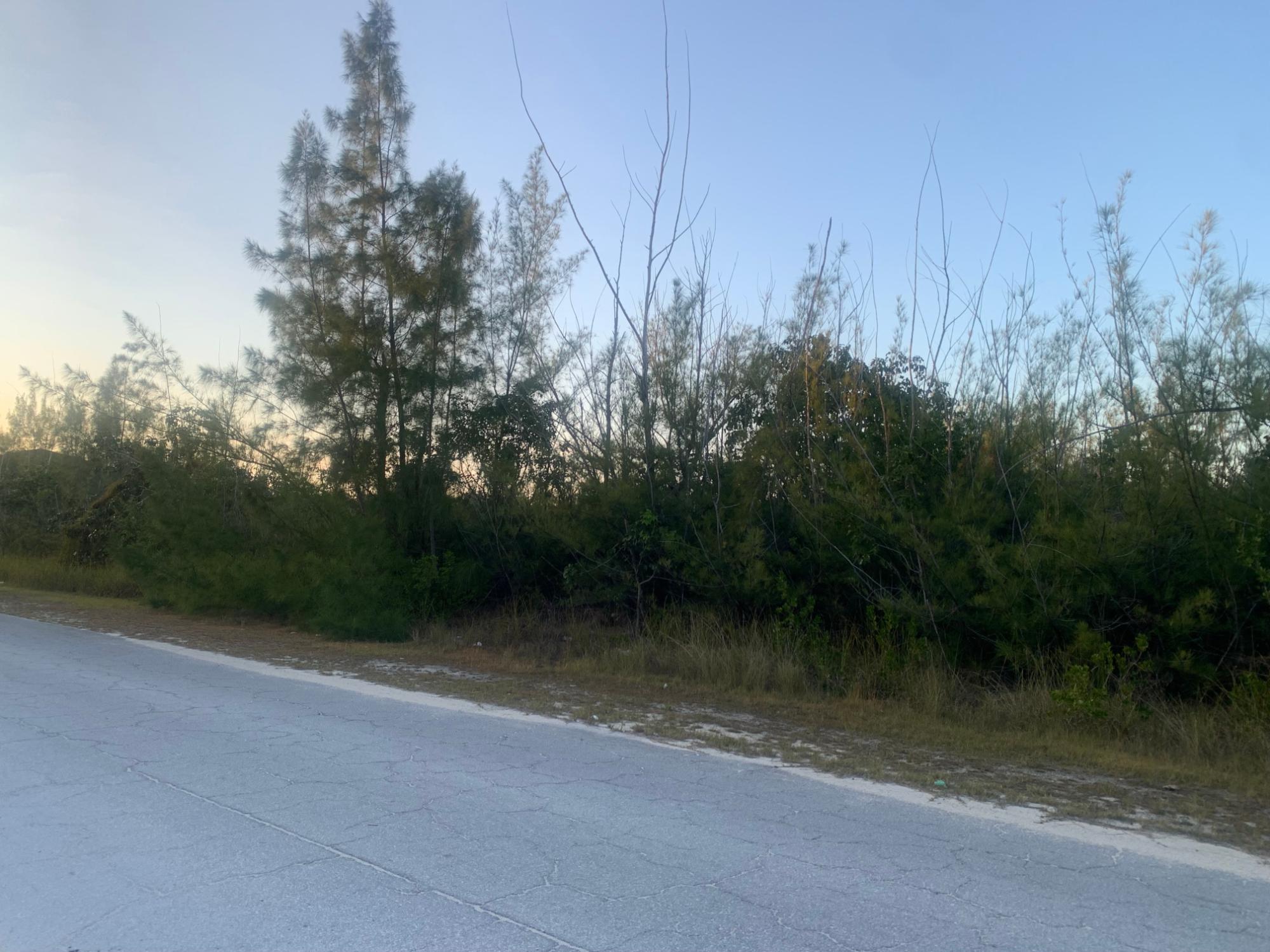 /listing-lots-acreage-in-bootle-bay-74749.html from Coldwell Banker Bahamas Real Estate