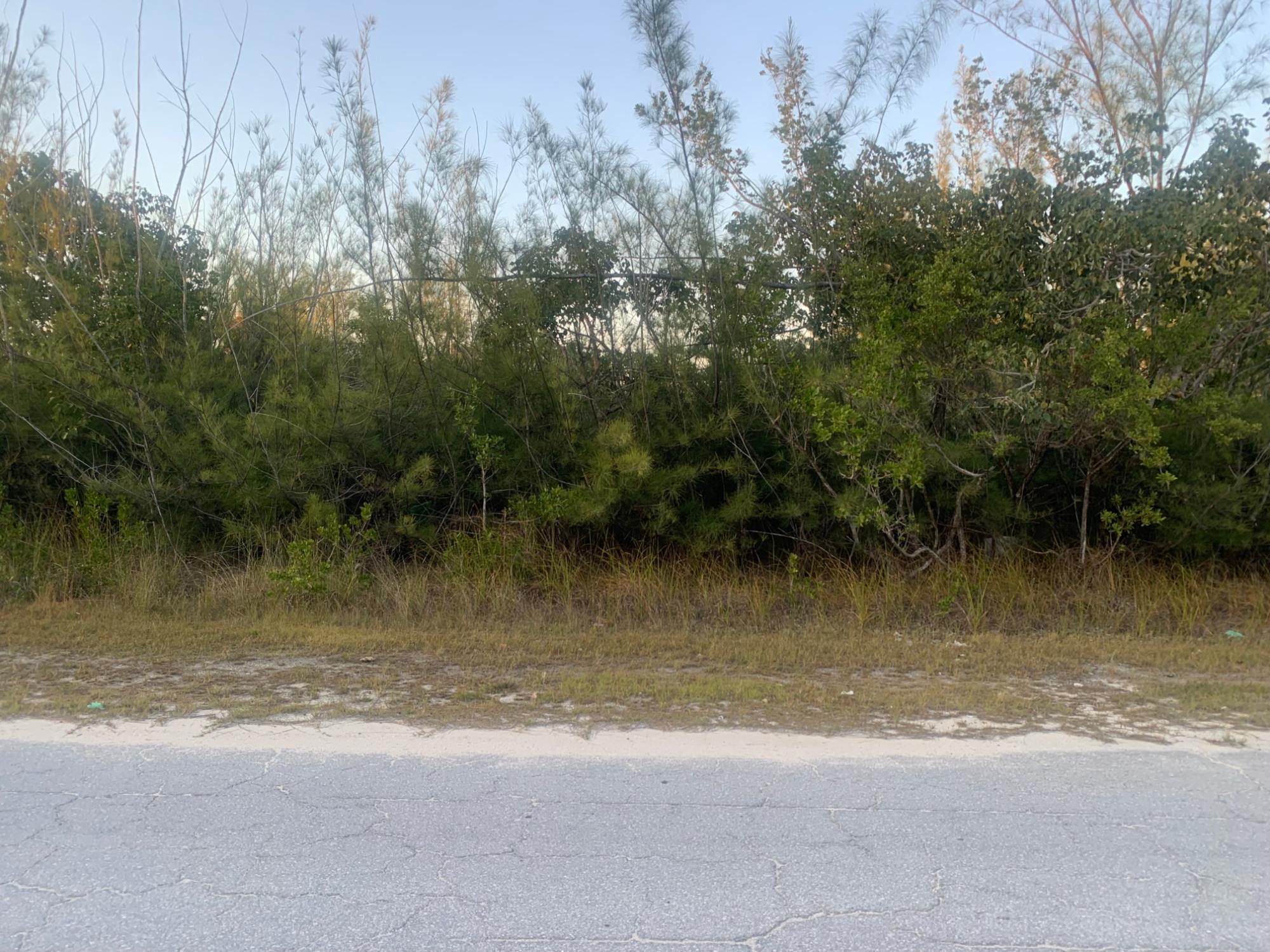 /listing-lots-acreage-in-bootle-bay-74750.html from Coldwell Banker Bahamas Real Estate