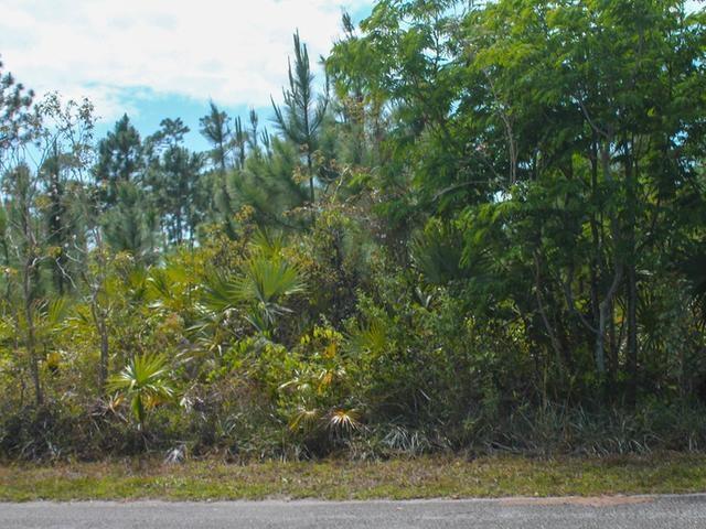 /listing-lots-acreage-in-other-grand-bahama-freeport-74353.html from Coldwell Banker Bahamas Real Estate