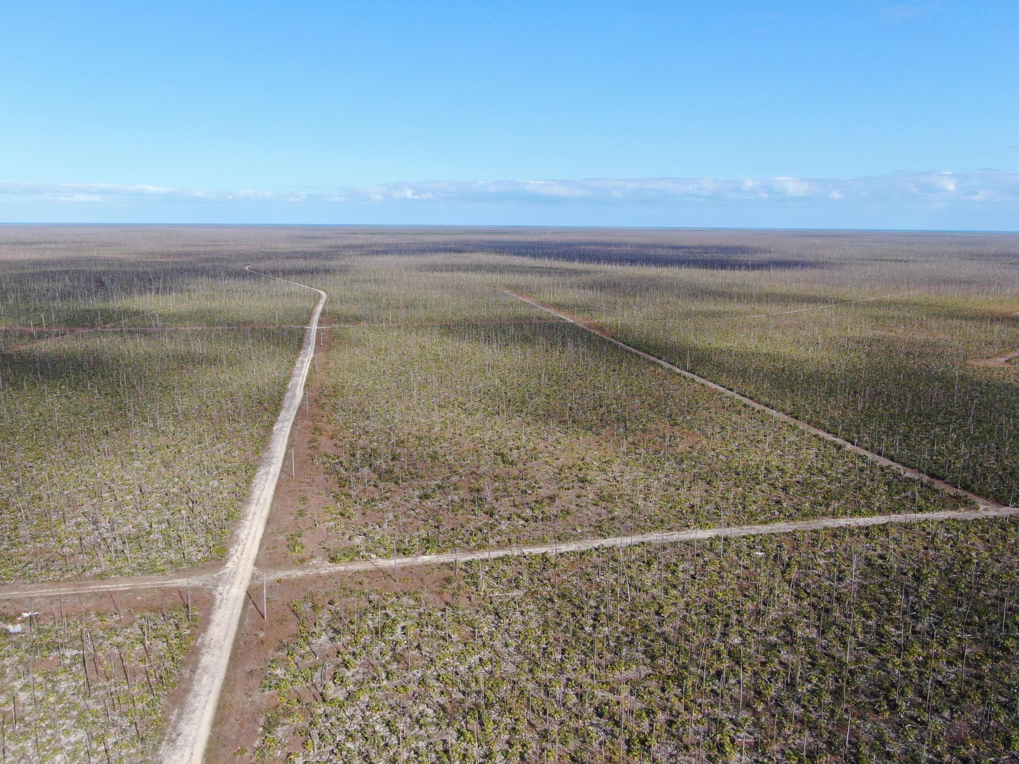 /listing-lots-acreage-in-other-grand-bahama-freeport-75362.html from Coldwell Banker Bahamas Real Estate