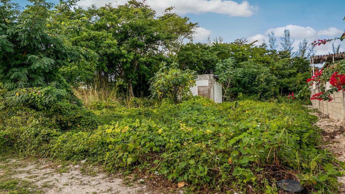 /listing-lots-acreage-in-west-bay-street-76017.html from Coldwell Banker Bahamas Real Estate