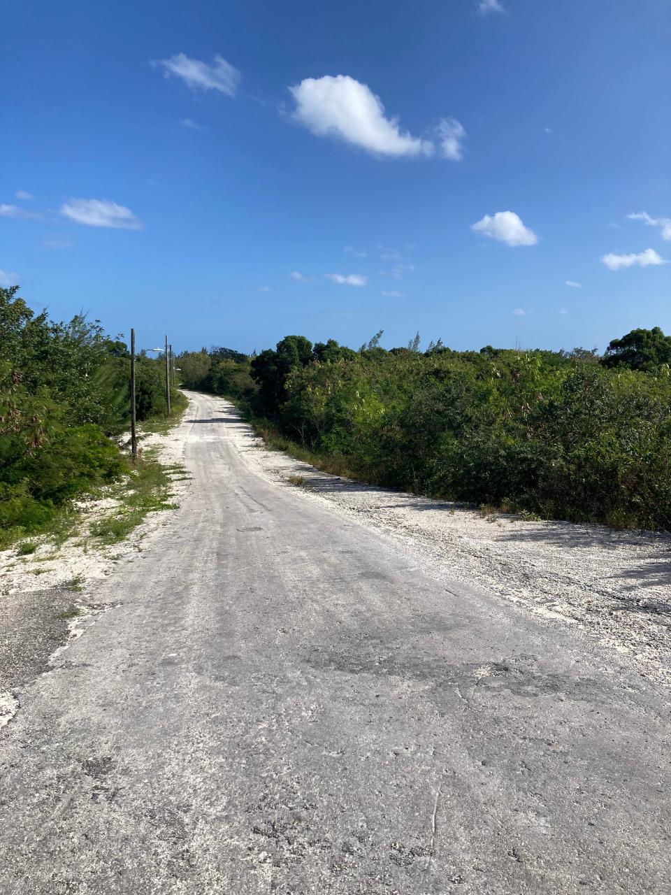 /listing-lots-acreage-in-other-andros-74182.html from Coldwell Banker Bahamas Real Estate