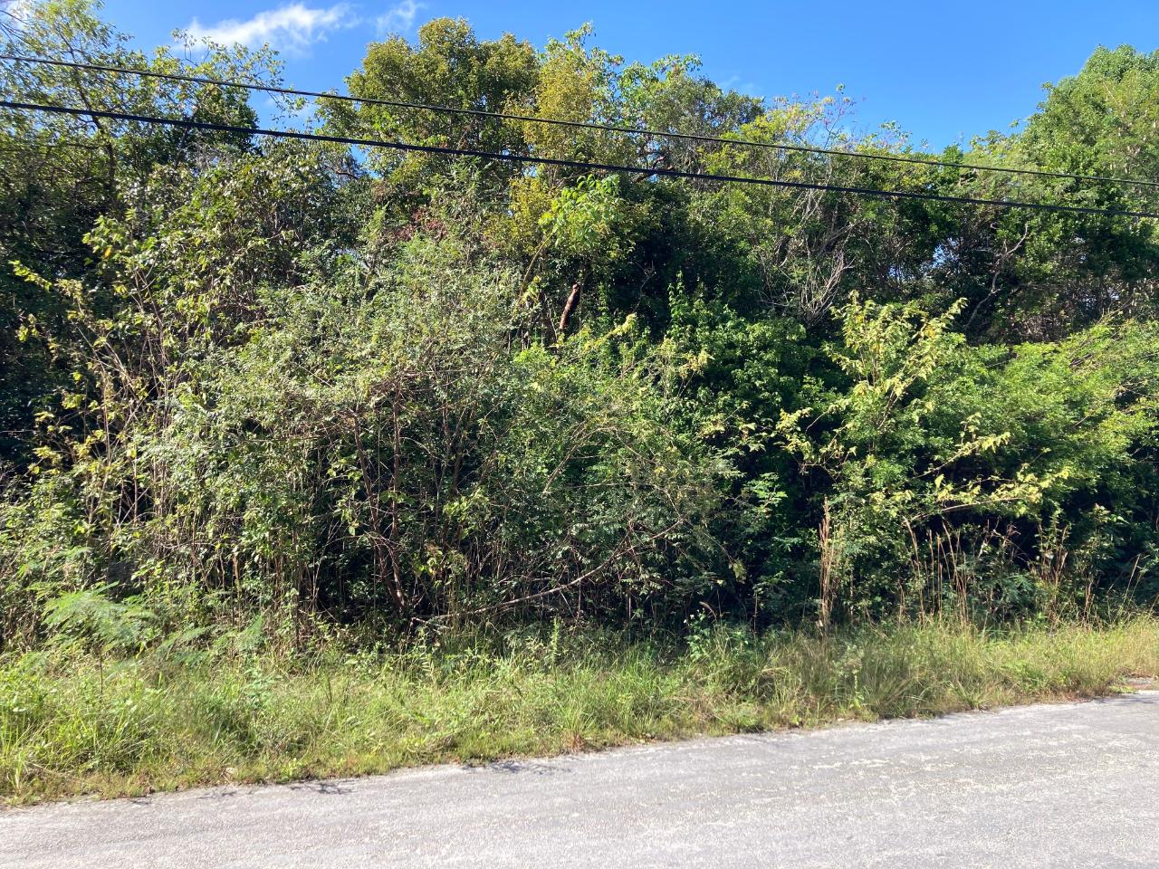 /listing-lots-acreage-in-congo-town-74343.html from Coldwell Banker Bahamas Real Estate