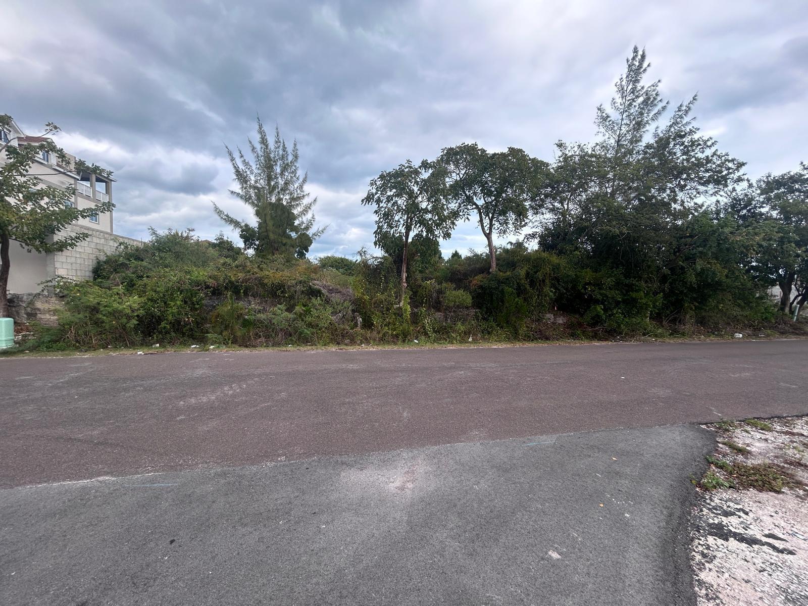 /listing-lots-acreage-in-yamacraw-74100.html from Coldwell Banker Bahamas Real Estate