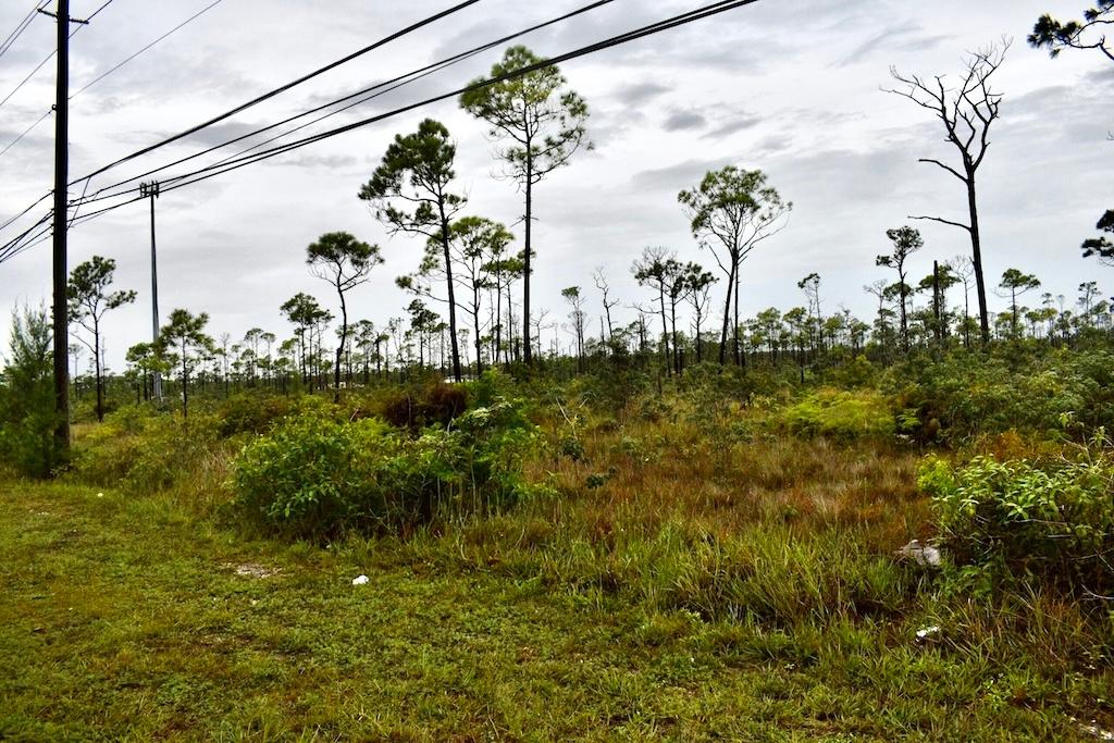 /listing-lots-acreage-in-lincoln-park-74071.html from Coldwell Banker Bahamas Real Estate