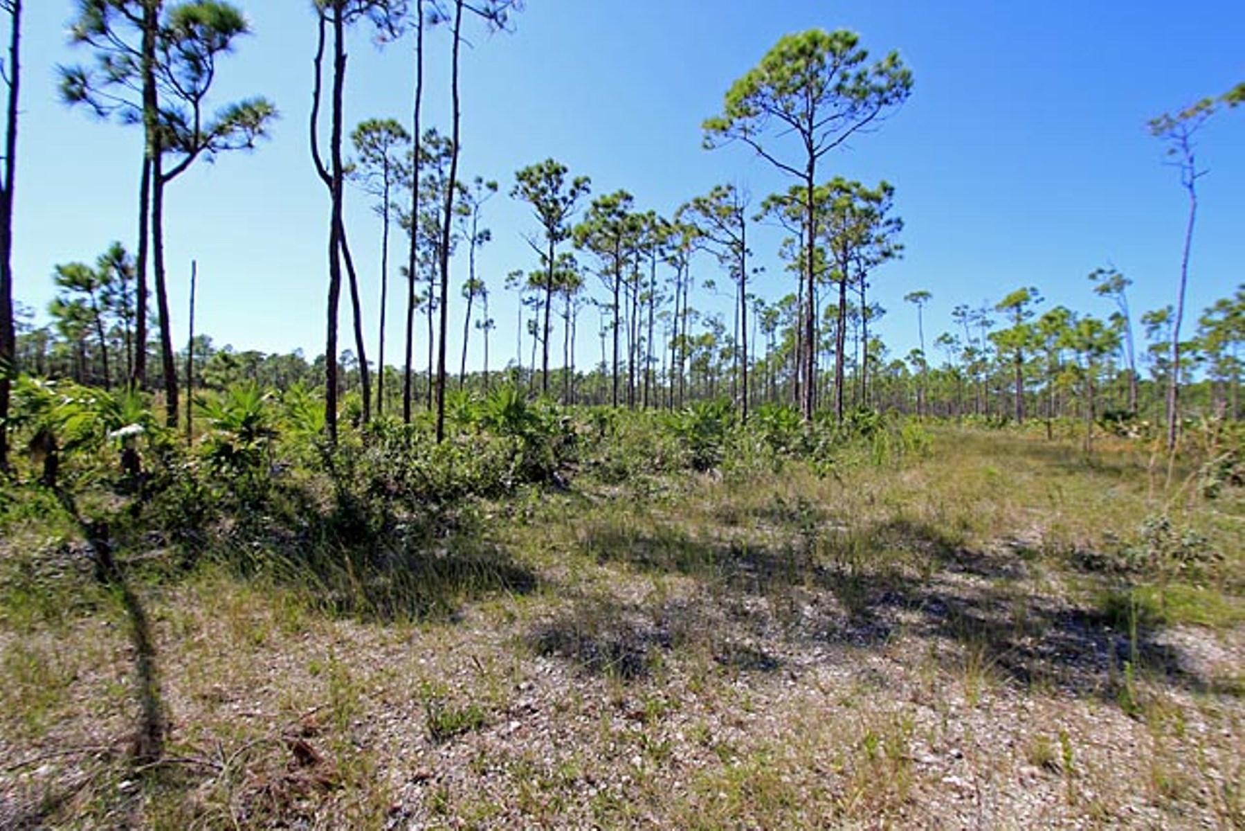 /listing-lots-acreage-in-lucaya-74062.html from Coldwell Banker Bahamas Real Estate