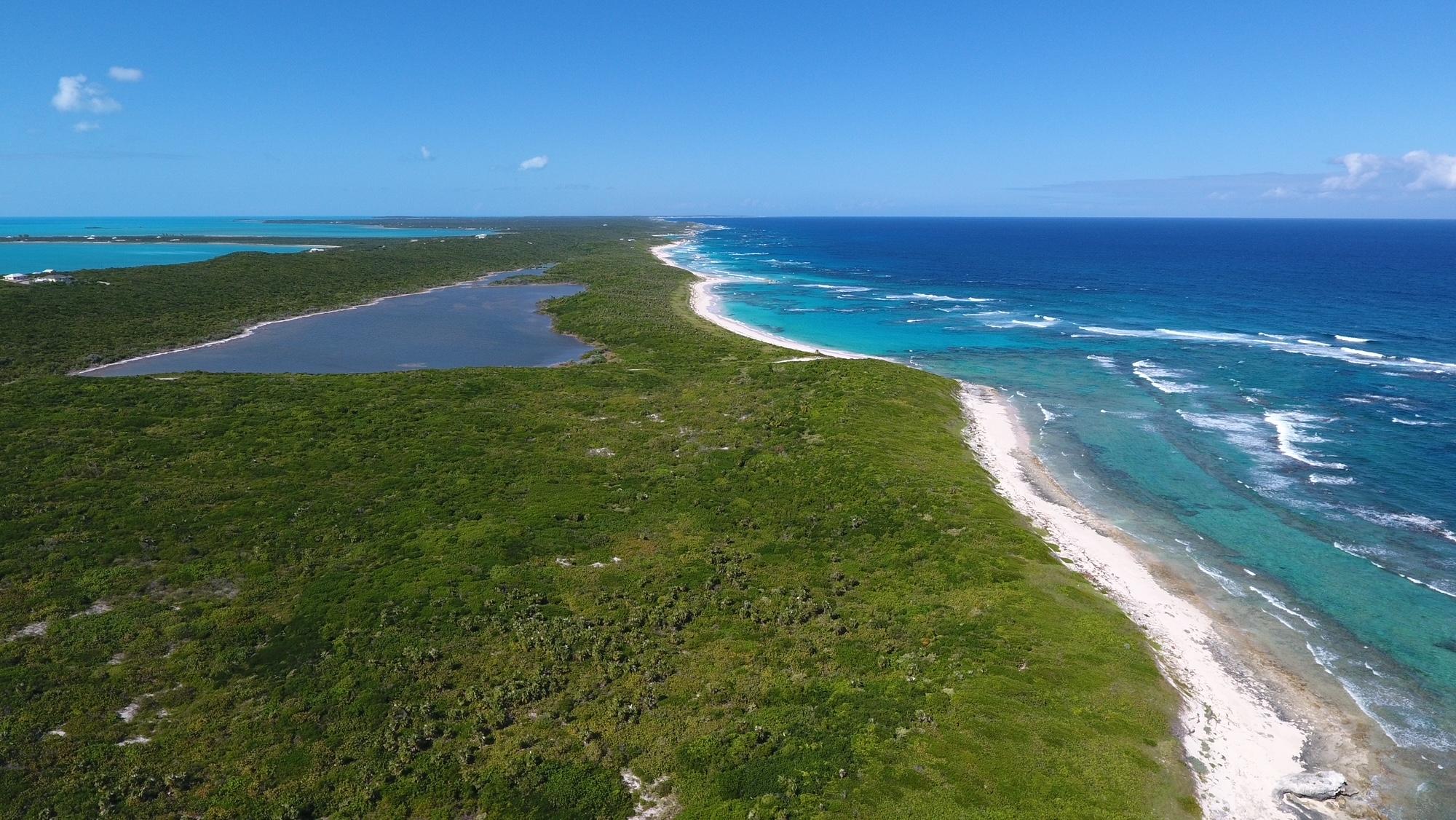 /listing-lots-acreage-in-salt-pond-75161.html from Coldwell Banker Bahamas Real Estate
