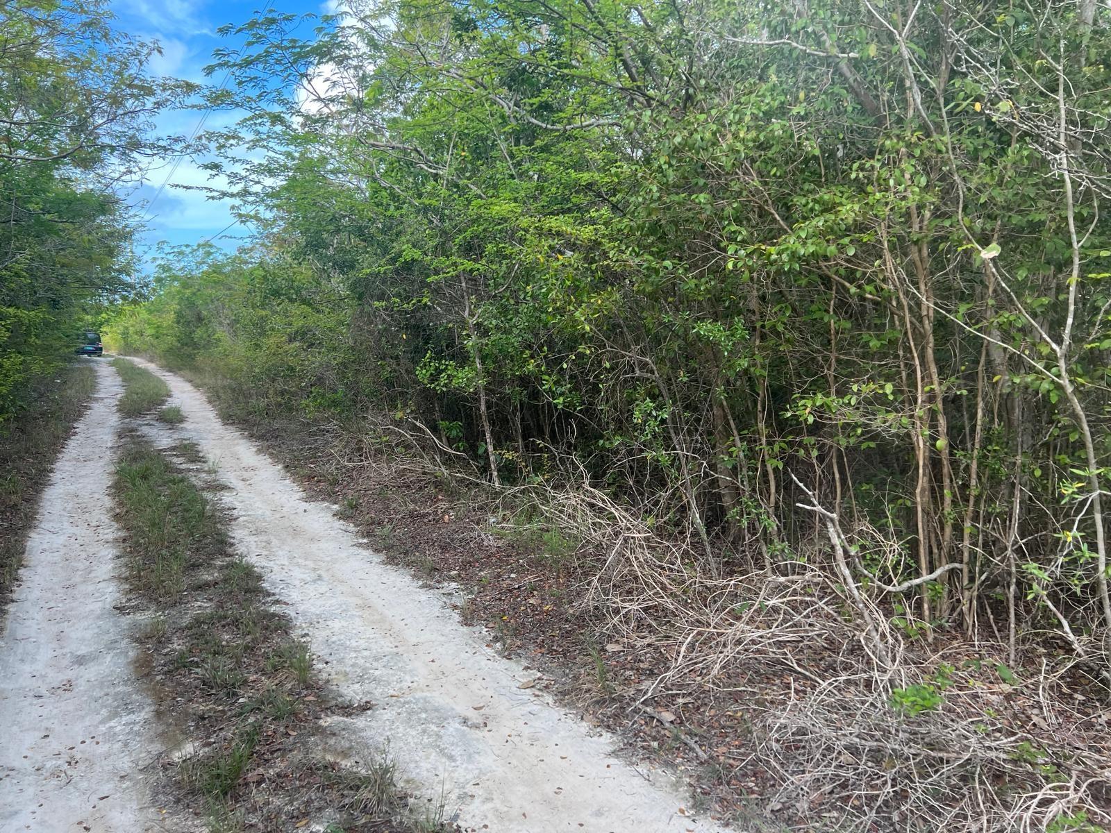 /listing-lots-acreage-in-bahama-sound-74807.html from Coldwell Banker Bahamas Real Estate