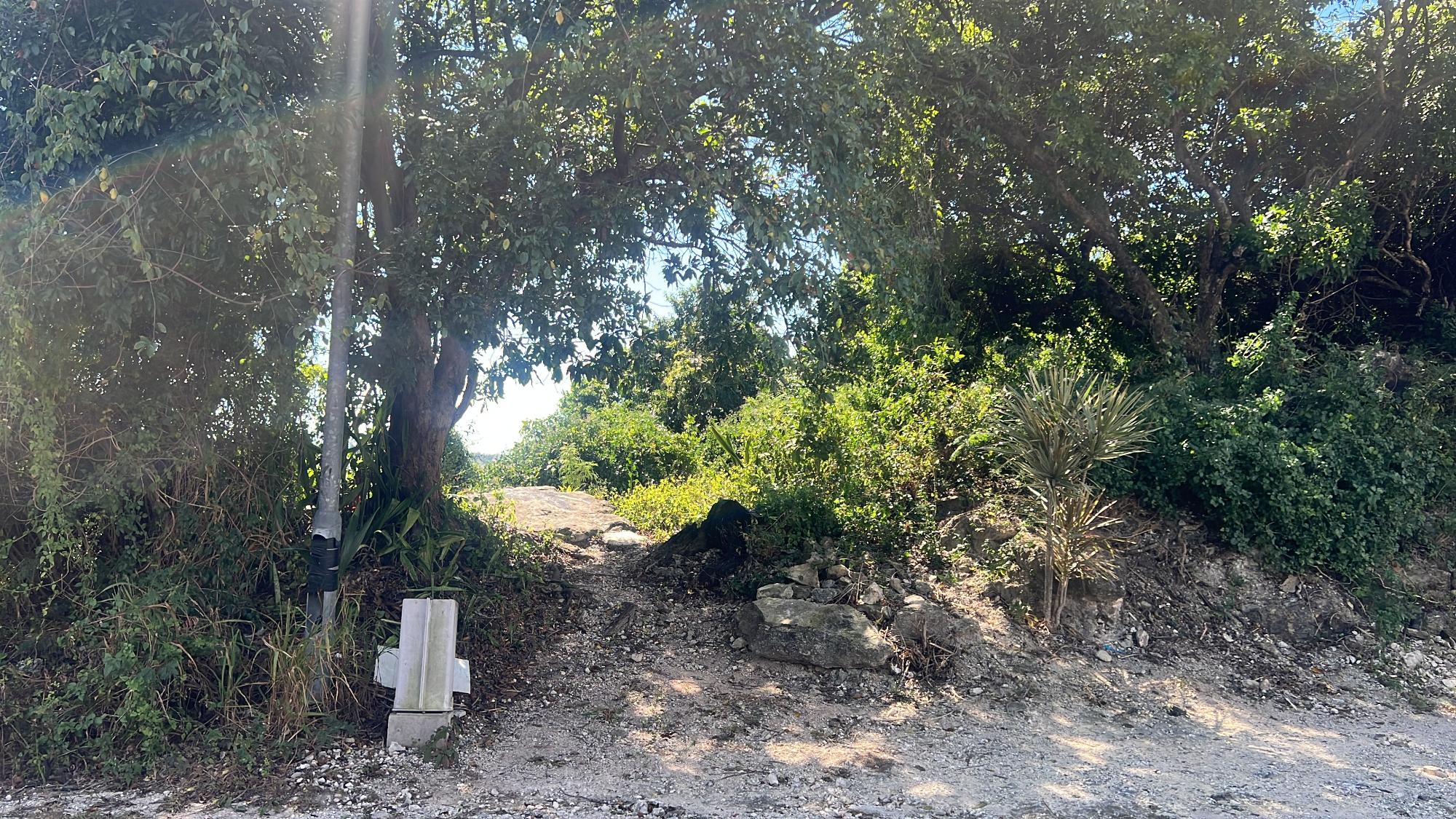 /listing-lots-acreage-in-other-new-providence-nassau-74925.html from Coldwell Banker Bahamas Real Estate