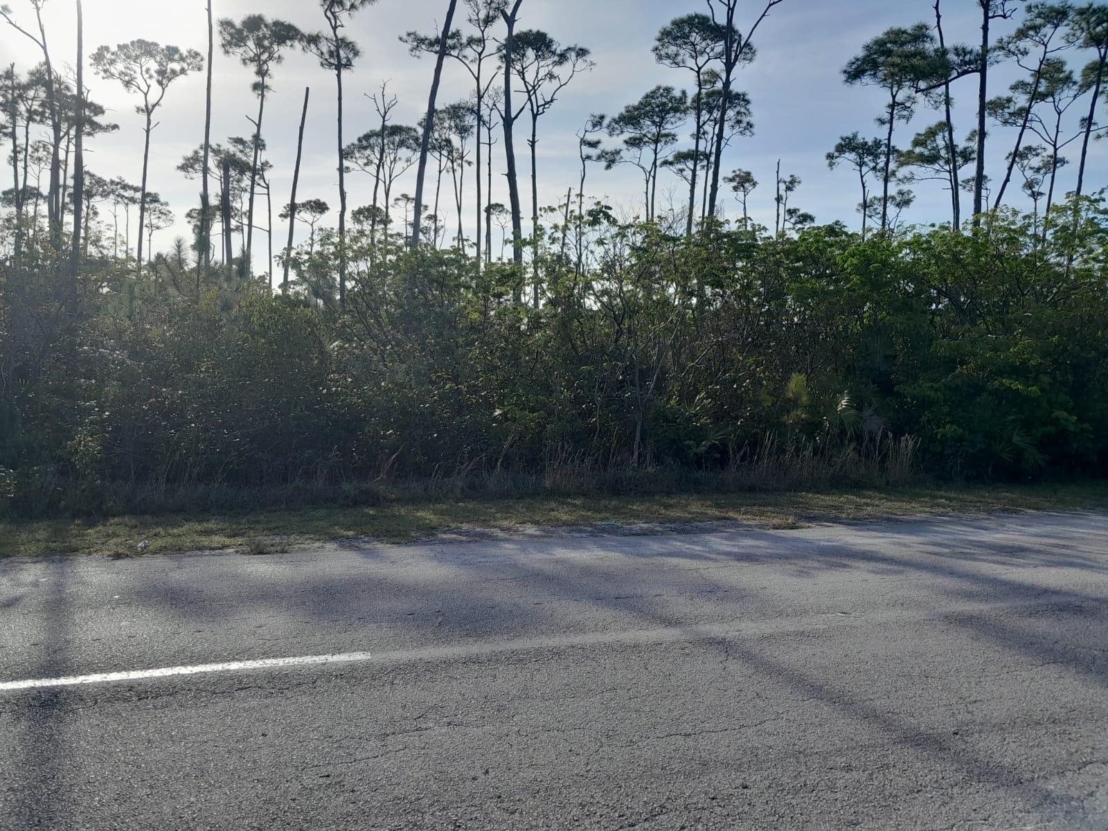 /listing-lots-acreage-in-lincoln-park-74942.html from Coldwell Banker Bahamas Real Estate