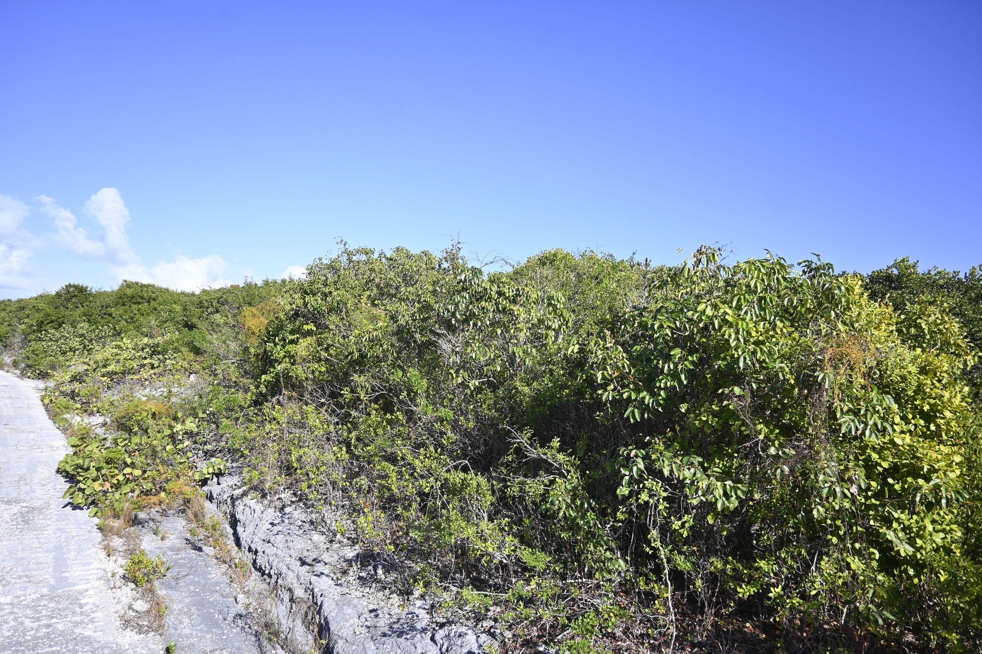 /listing-lots-acreage-in-governors-harbour-74992.html from Coldwell Banker Bahamas Real Estate