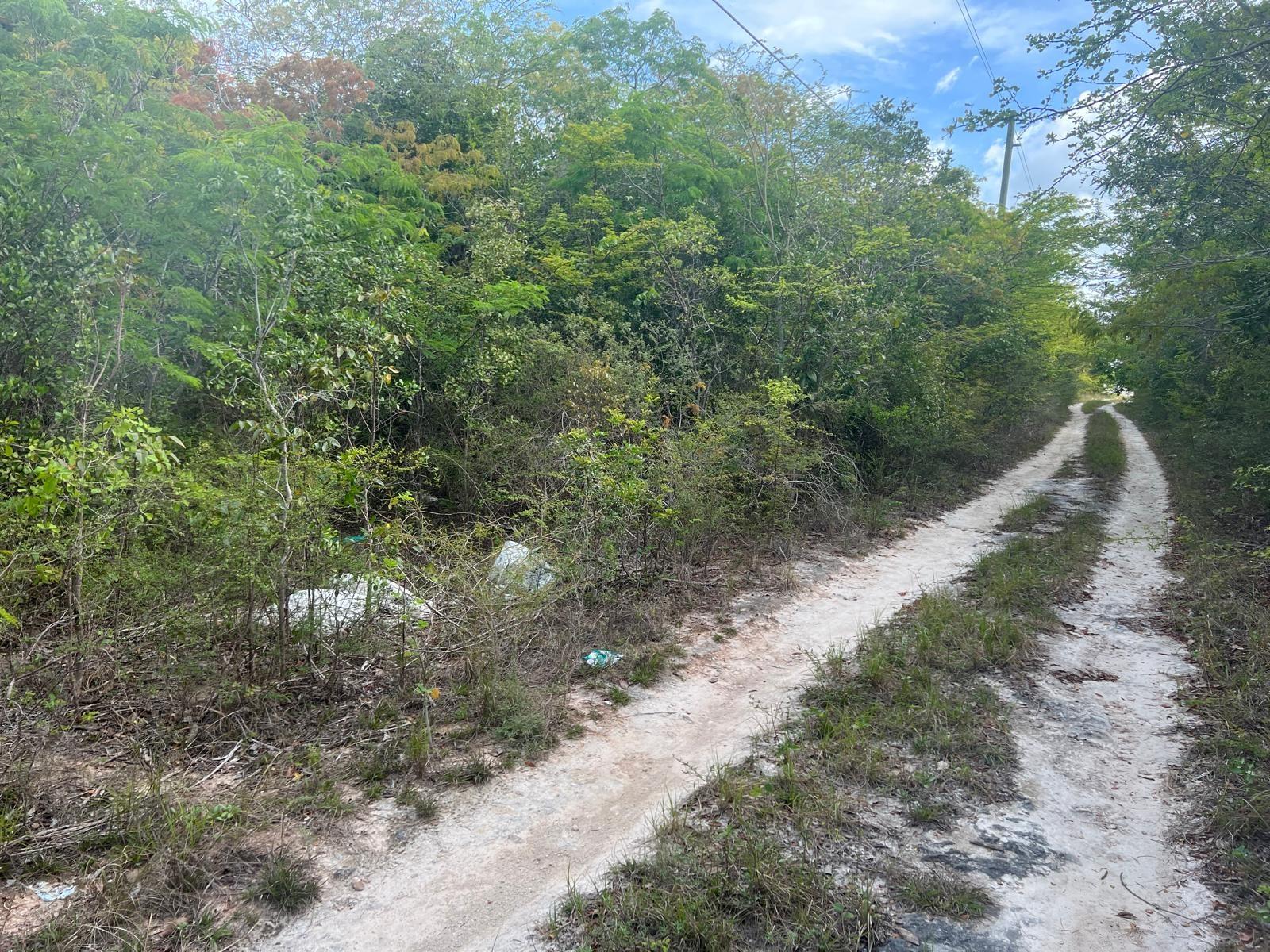 /listing-lots-acreage-in-bahama-sound-75030.html from Coldwell Banker Bahamas Real Estate