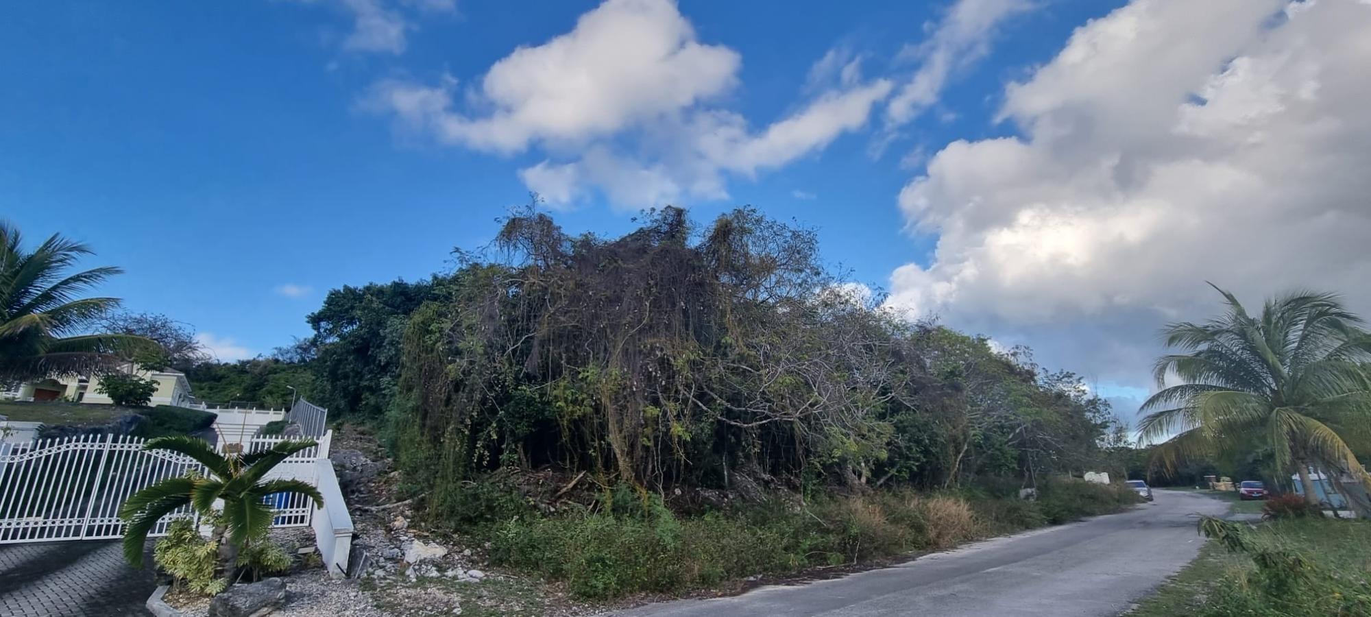 /listing-lots-acreage-in-westridge-76117.html from Coldwell Banker Bahamas Real Estate