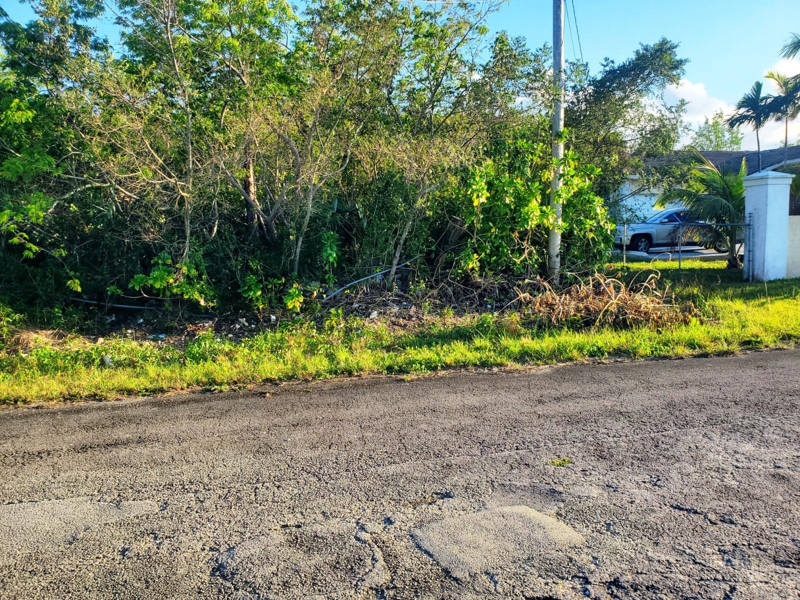 /listing-lots-acreage-in-lincoln-green-75083.html from Coldwell Banker Bahamas Real Estate