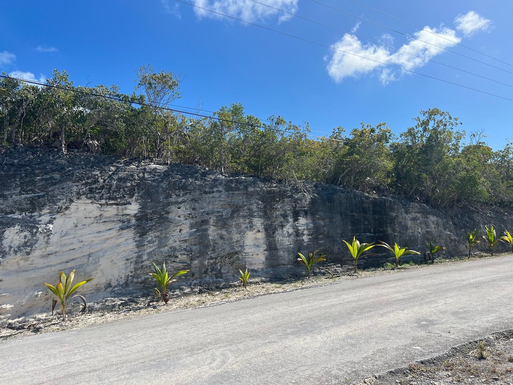 /listing-lots-acreage-in-bahama-sound-75082.html from Coldwell Banker Bahamas Real Estate
