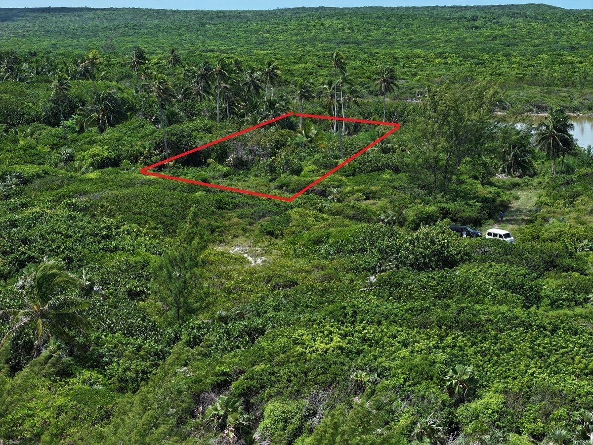 /listing-lots-acreage-in-double-bay-75305.html from Coldwell Banker Bahamas Real Estate