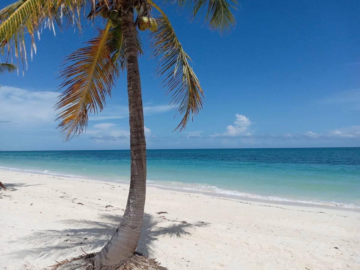 /listing-condo-in-lucaya-75528.html from Coldwell Banker Bahamas Real Estate