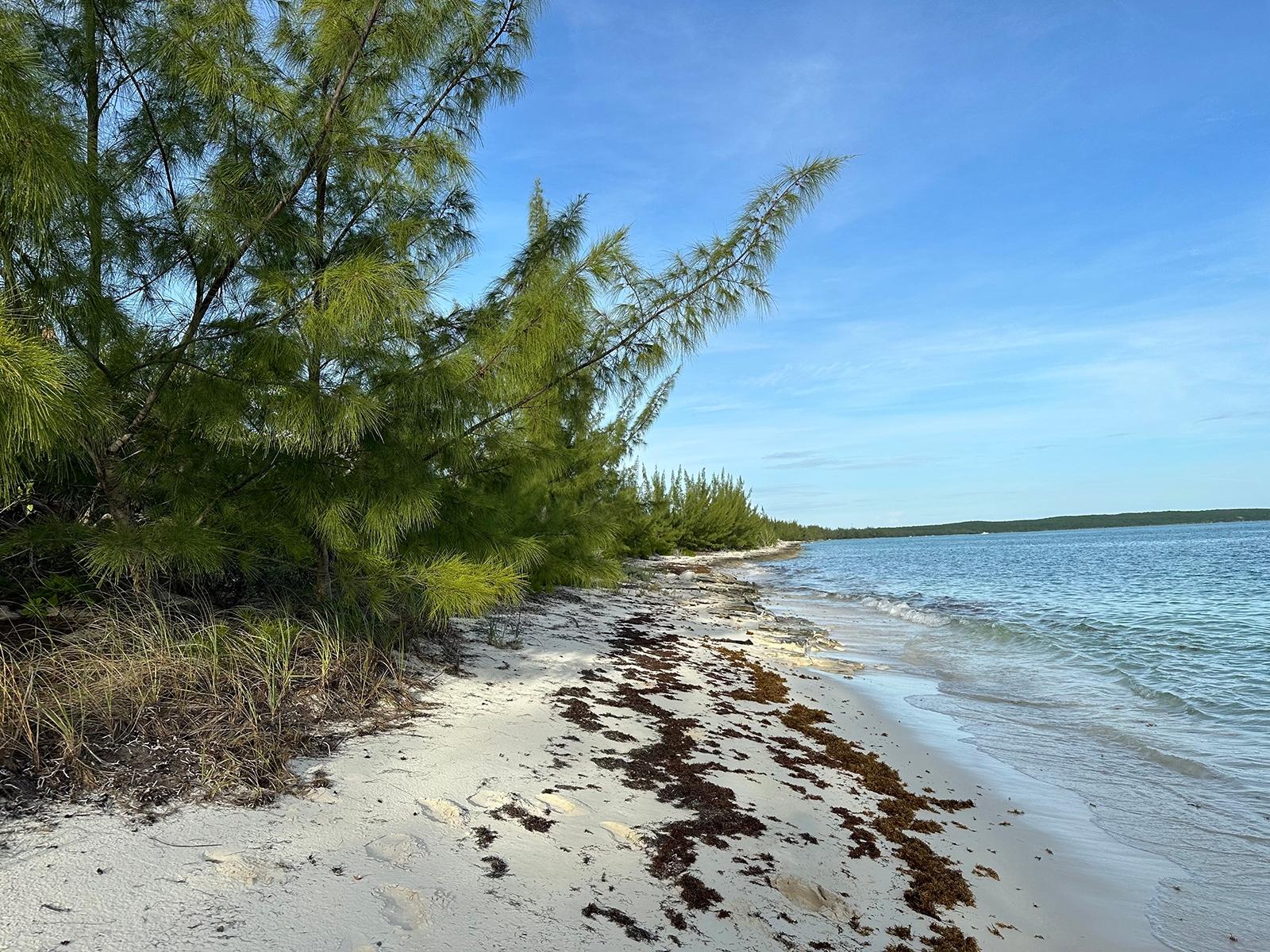 /listing-lots-acreage-in-port-howe-75515.html from Coldwell Banker Bahamas Real Estate