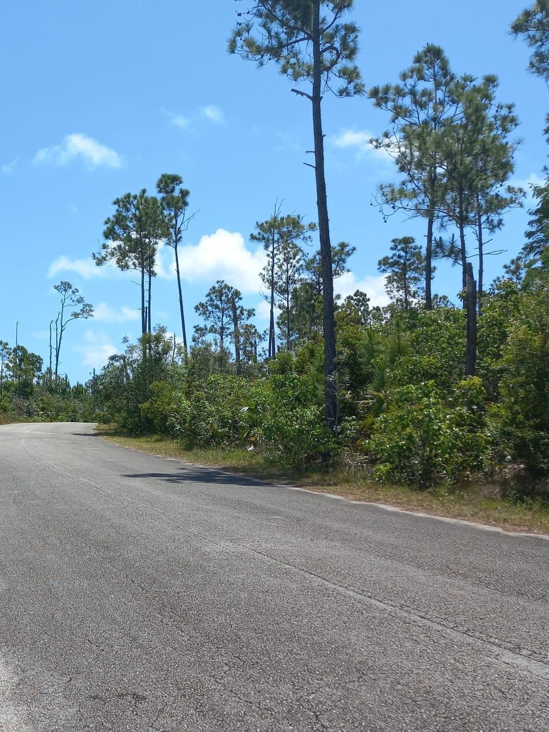 /listing-lots-acreage-in-suffolk-75563.html from Coldwell Banker Bahamas Real Estate