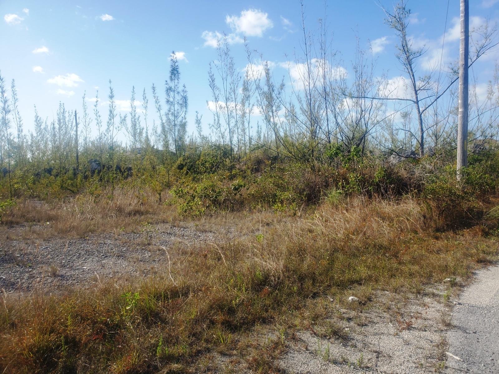 /listing-lots-acreage-in-derby-76138.html from Coldwell Banker Bahamas Real Estate