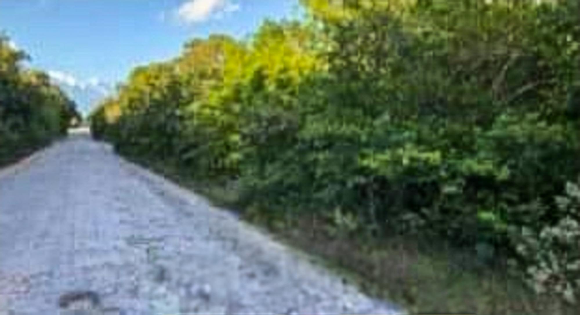 /listing-lots-acreage-in-bahama-sound-75641.html from Coldwell Banker Bahamas Real Estate